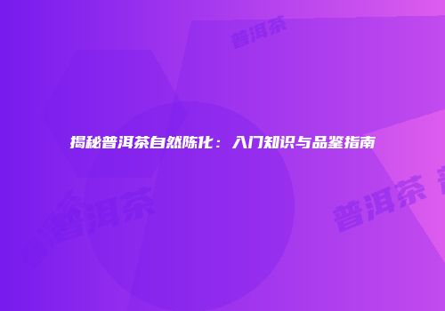 揭秘普洱茶自然陈化：入门知识与品鉴指南