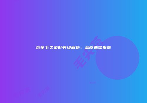 茶花毛尖茶叶等级解析：品质选择指南
