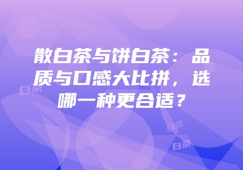 散白茶与饼白茶：品质与口感大比拼，选哪一种更合适？