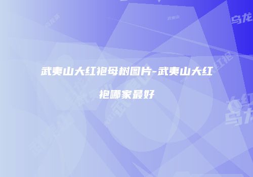 武夷山大红袍母树图片-武夷山大红袍哪家最好
