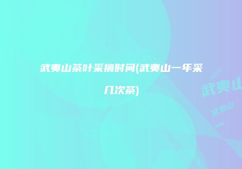 武夷山茶叶采摘时间(武夷山一年采几次茶)