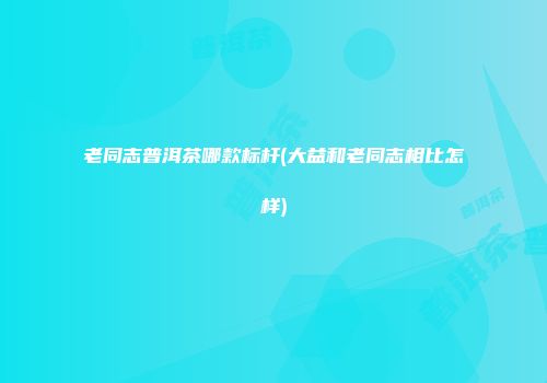 老同志普洱茶哪款标杆(大益和老同志相比怎样)