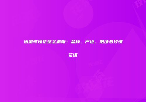 法国玫瑰花茶全解析：品种、产地、泡法与玫瑰花语