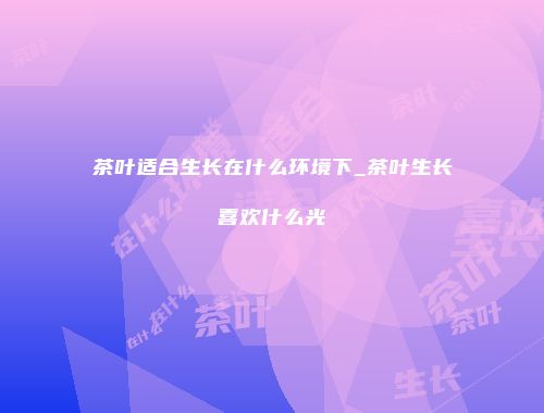 茶叶适合生长在什么环境下_茶叶生长喜欢什么光