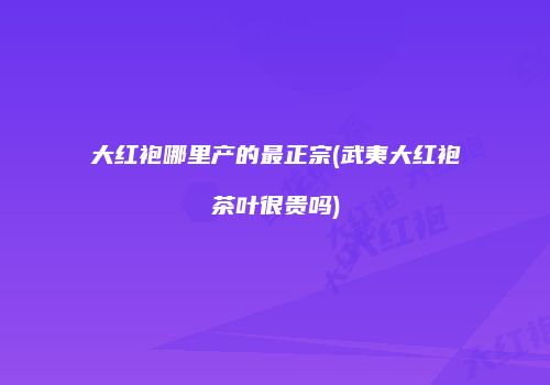 大红袍哪里产的最正宗(武夷大红袍茶叶很贵吗)