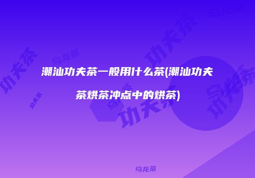 潮汕功夫茶一般用什么茶(潮汕功夫茶烘茶冲点中的烘茶)