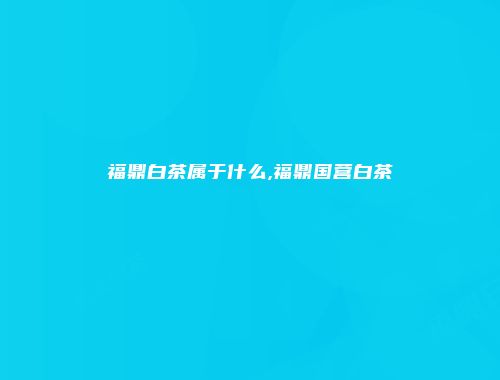 福鼎白茶属于什么,福鼎国营白茶