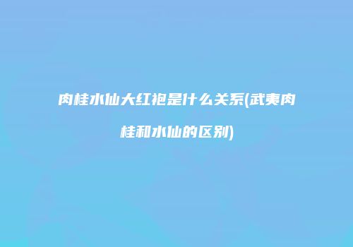 肉桂水仙大红袍是什么关系(武夷肉桂和水仙的区别)