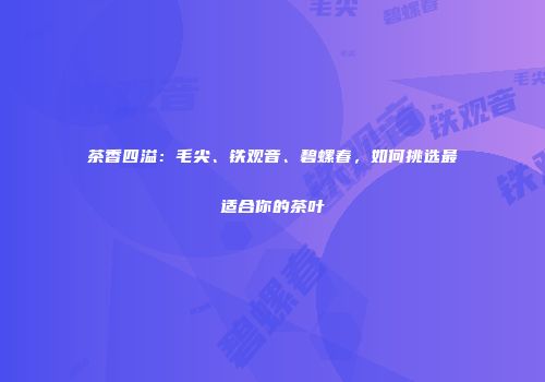 茶香四溢：毛尖、铁观音、碧螺春，如何挑选最适合你的茶叶