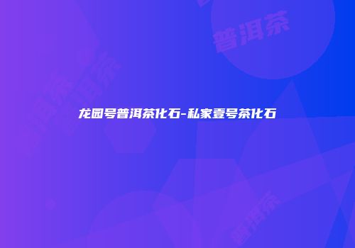 龙园号普洱茶化石-私家壹号茶化石