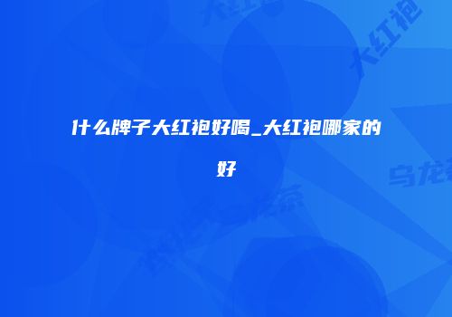 什么牌子大红袍好喝_大红袍哪家的好