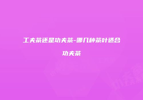 工夫茶还是功夫茶-哪几种茶叶适合功夫茶