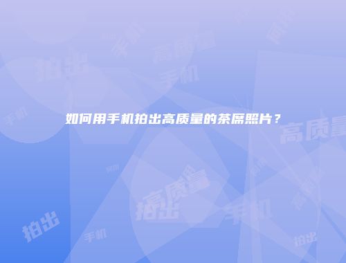如何用手机拍出高质量的茶席照片？