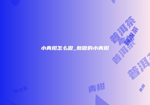 小青柑怎么做_新做的小青柑