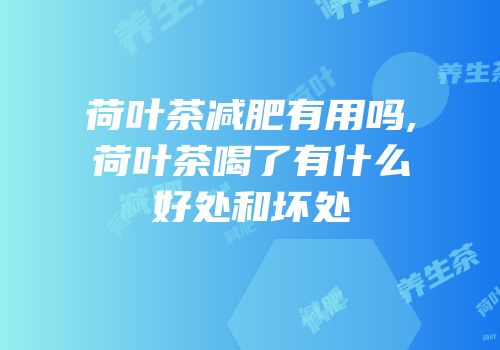 荷叶茶减肥有用吗,荷叶茶喝了有什么好处和坏处