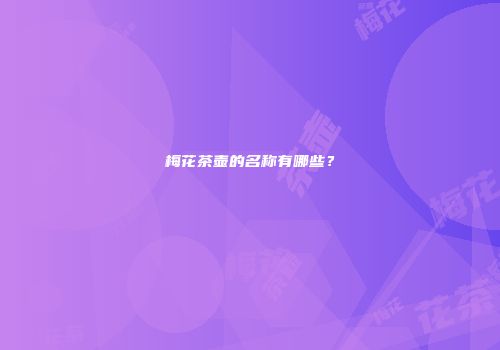 梅花茶壶的名称有哪些？