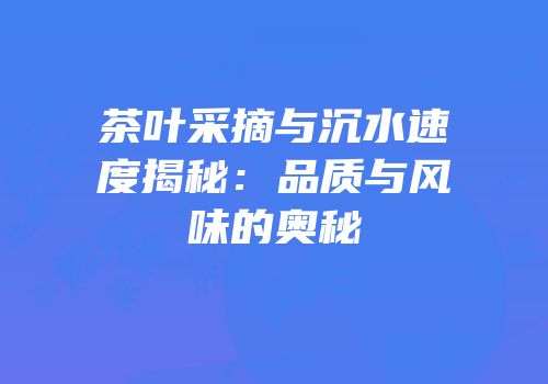 茶叶采摘与沉水速度揭秘：品质与风味的奥秘
