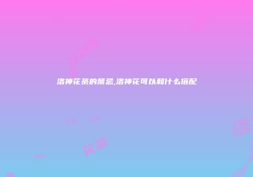 洛神花茶的禁忌,洛神花可以和什么搭配