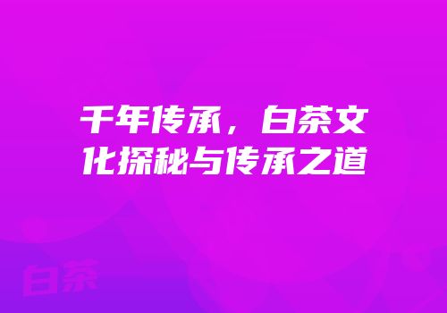 千年传承，白茶文化探秘与传承之道