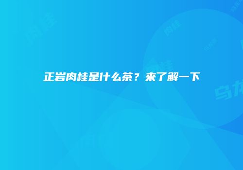 正岩肉桂是什么茶？来了解一下