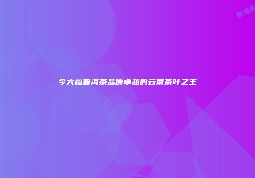 今大福普洱茶品质卓越的云南茶叶之王