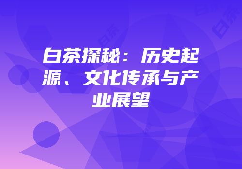 白茶探秘：历史起源、文化传承与产业展望