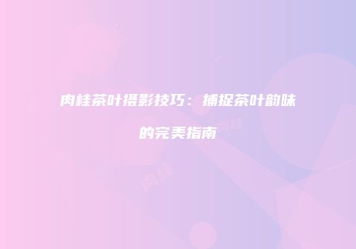 肉桂茶叶摄影技巧：捕捉茶叶韵味的完美指南