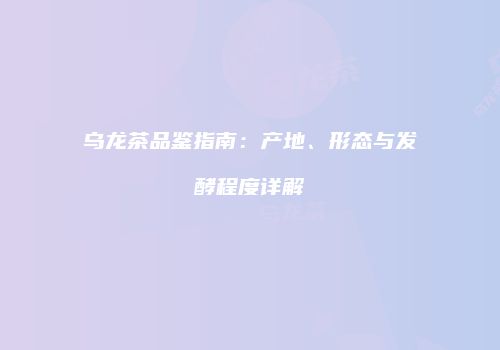 乌龙茶品鉴指南：产地、形态与发酵程度详解
