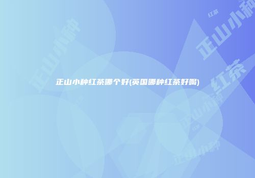 正山小种红茶哪个好(英国哪种红茶好喝)