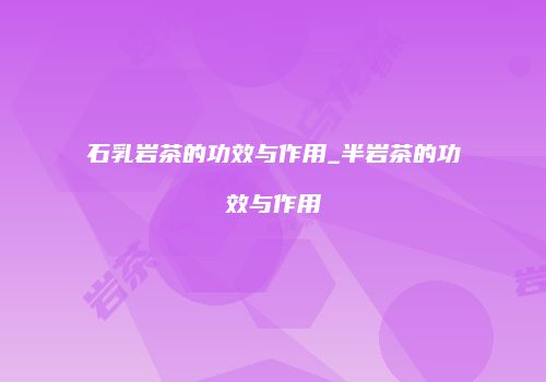 石乳岩茶的功效与作用_半岩茶的功效与作用