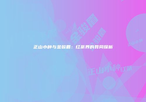 正山小种与金骏眉：红茶界的异同探析