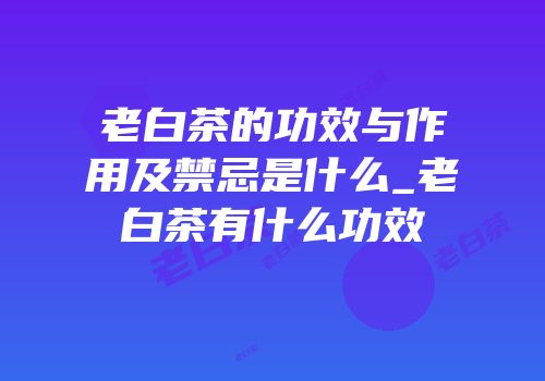 老白茶的功效与作用及禁忌是什么_老白茶有什么功效