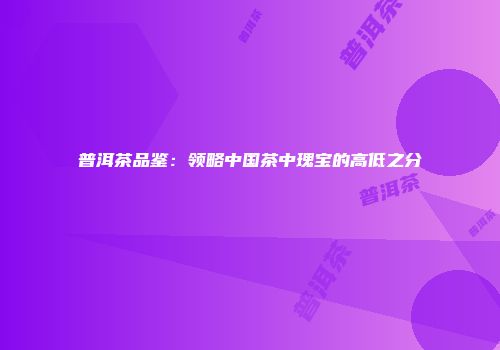 普洱茶品鉴：领略中国茶中瑰宝的高低之分