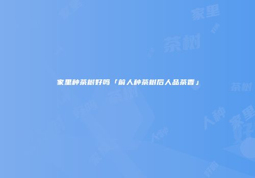 家里种茶树好吗「前人种茶树后人品茶香」