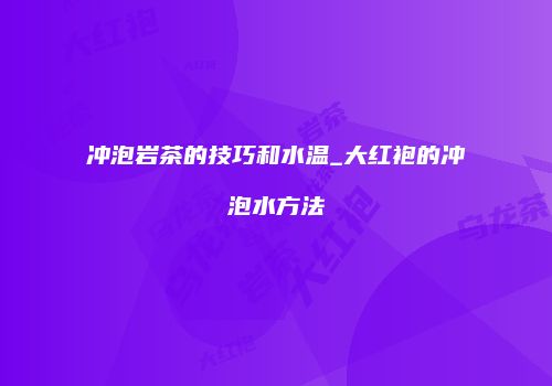 冲泡岩茶的技巧和水温_大红袍的冲泡水方法