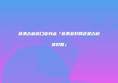 藤条古树茶口感特点「藤条茶好喝还是古树茶好喝」