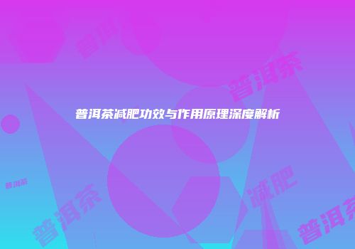 普洱茶减肥功效与作用原理深度解析
