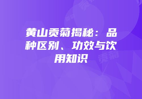 黄山贡菊揭秘：品种区别、功效与饮用知识
