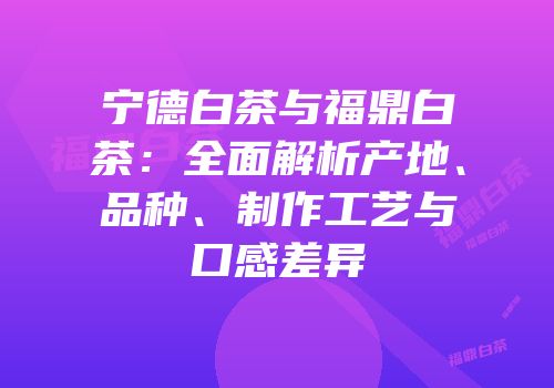 宁德白茶与福鼎白茶：全面解析产地、品种、制作工艺与口感差异