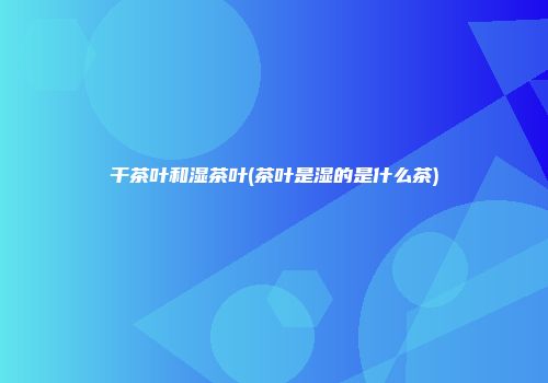 干茶叶和湿茶叶(茶叶是湿的是什么茶)