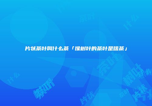 片状茶叶叫什么茶「像树叶的茶叶是啥茶」