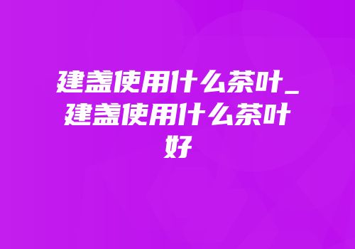建盏使用什么茶叶_建盏使用什么茶叶好