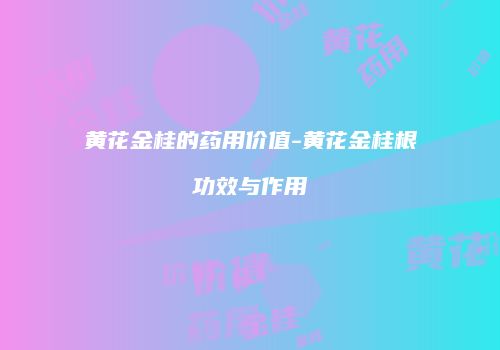黄花金桂的药用价值-黄花金桂根功效与作用