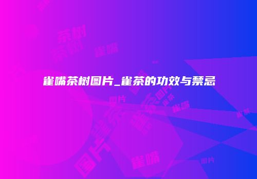 雀嘴茶树图片_雀茶的功效与禁忌
