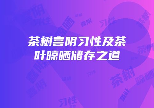茶树喜阴习性及茶叶晾晒储存之道