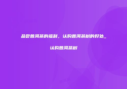 品尝普洱茶的福利，认购普洱茶树的好处_认购普洱茶树