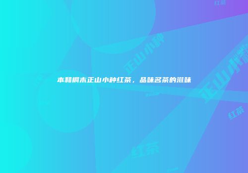 本和桐木正山小种红茶，品味名茶的滋味