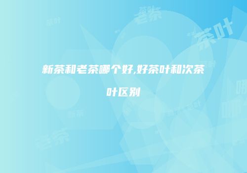 新茶和老茶哪个好,好茶叶和次茶叶区别