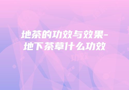 地茶的功效与效果-地下茶草什么功效