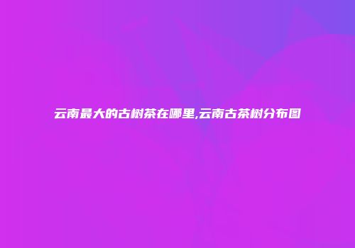 云南最大的古树茶在哪里,云南古茶树分布图